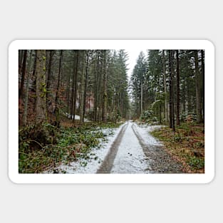 Road through the forest Sticker